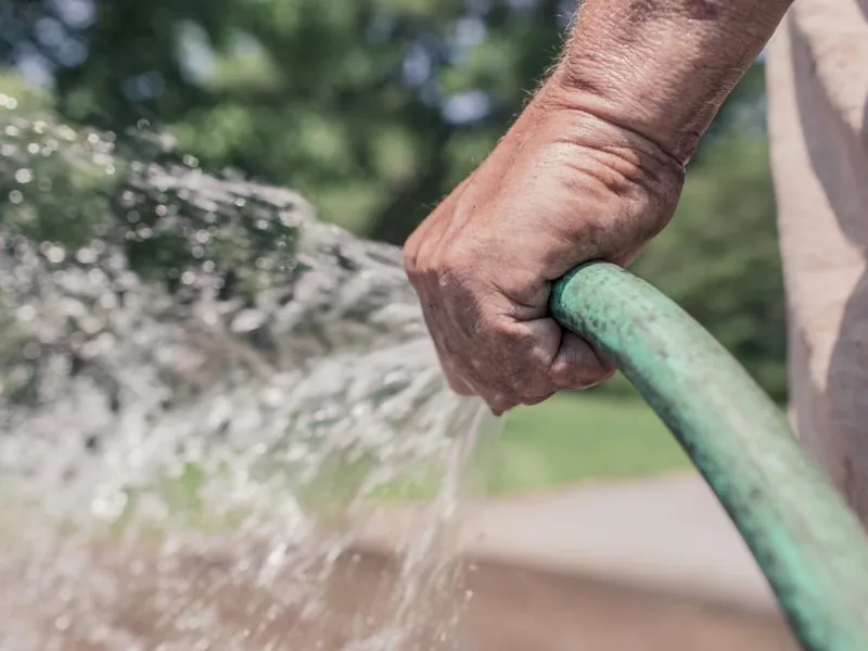 A gardener watering plants with a hose