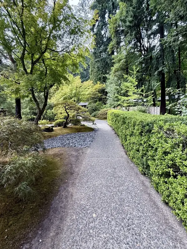 A gravel path between a trimmed hedge and trees